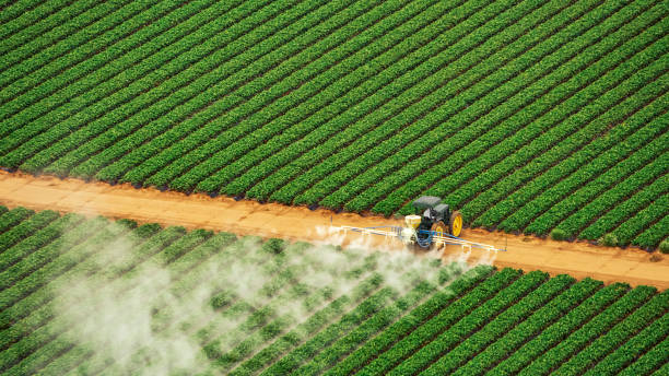Best Termite Control Services  in Baker City, OR