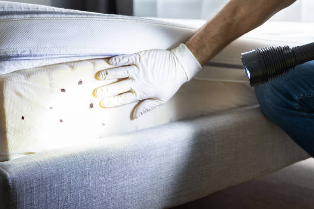 Best Exterminator Services  in Baker City, OR