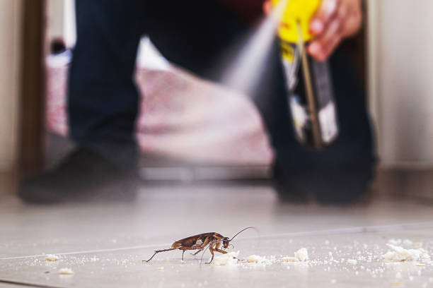 Best Pest Control Near Me in Baker City, OR